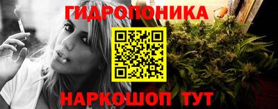 сатива Обь