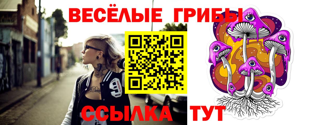 дарнет шоп  Псилоцибиновые грибы Cubensis  Вход с VPN  Галлюциногенные грибы мухоморы  Баксан 